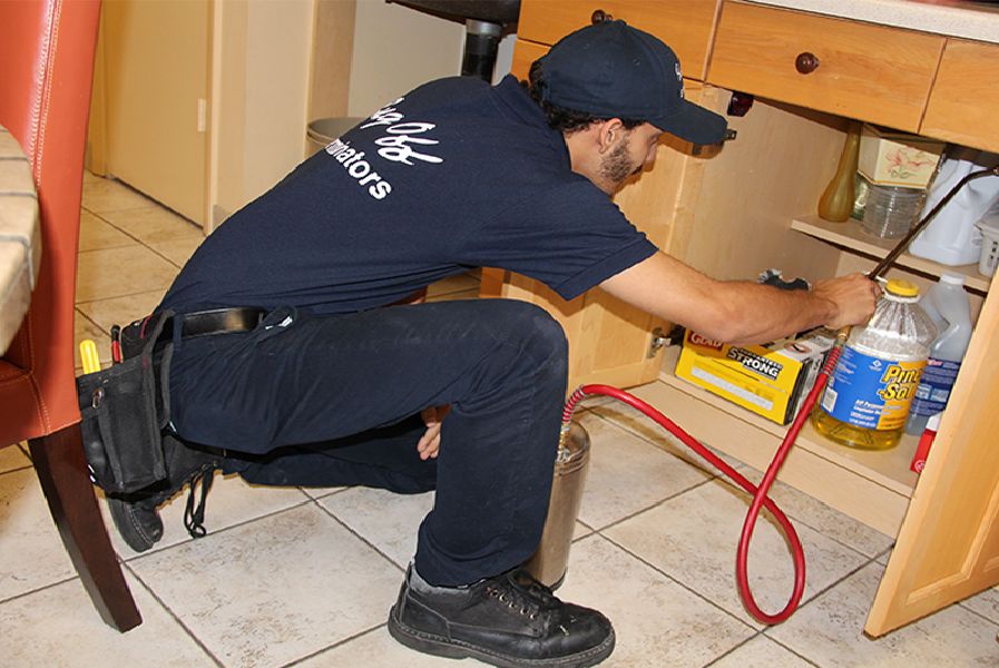 Choosing a Pest Control Service for your Home