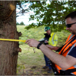 Ultimate Tree Protection Tools