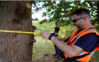 Ultimate Tree Protection Tools