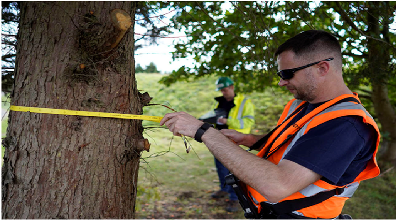 Ultimate Tree Protection Tools