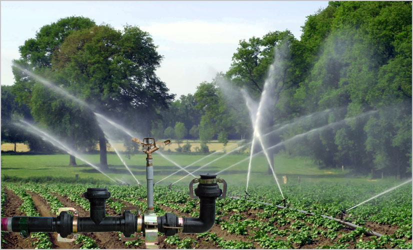 water does a residential irrigation system use