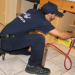 Choosing a Pest Control Service for your Home