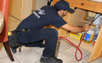 Choosing a Pest Control Service for your Home