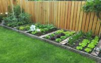 How to Beautify Your Home with Gardens