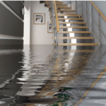 Find Water Damage Removal Experts near Maryland