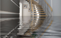 Find Water Damage Removal Experts near Maryland