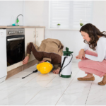 Clear Signs Your Property Needs Pest Inspection