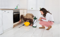 Clear Signs Your Property Needs Pest Inspection