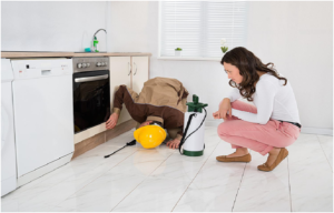 Clear Signs Your Property Needs Pest Inspection
