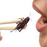 home pest and bug-free