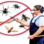 Pest Control Service