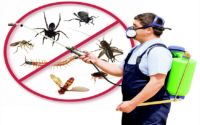 Pest Control Service