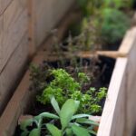 Wooden Planter Box